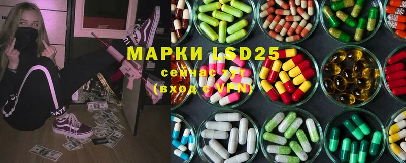 LSD-25 экстази ecstasy  где найти наркотики  Гусев 